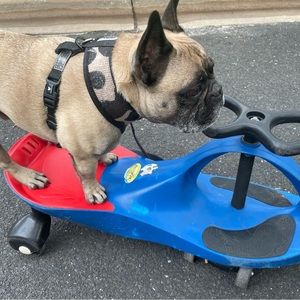 Meet your Posher, Mary beth